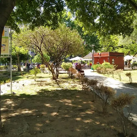 Apartment Ground Floor W/backyard *